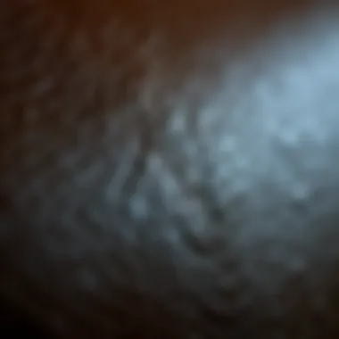 High-Quality Leather Texture Close-up of high-quality leather texture