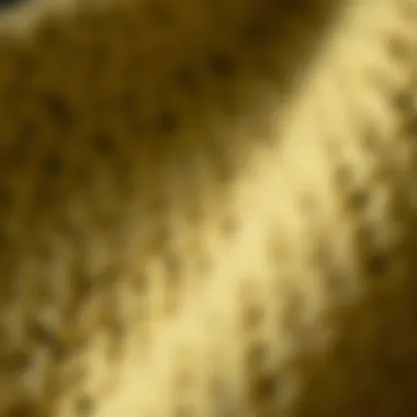 Close-up of wool fabric texture showcasing durability