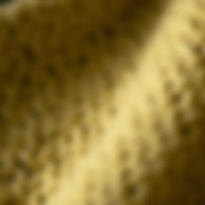 Close-up of wool fabric texture showcasing durability