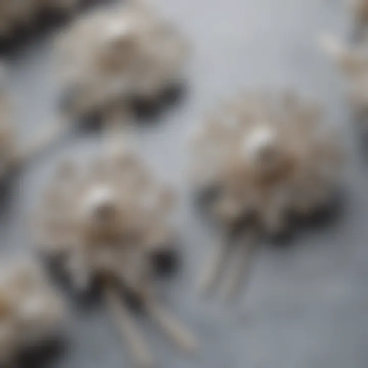 Close-up of intricately designed pearl hairpins