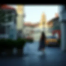 Karadeniz Şalı: Gelenekten Modern Hayata Introduction