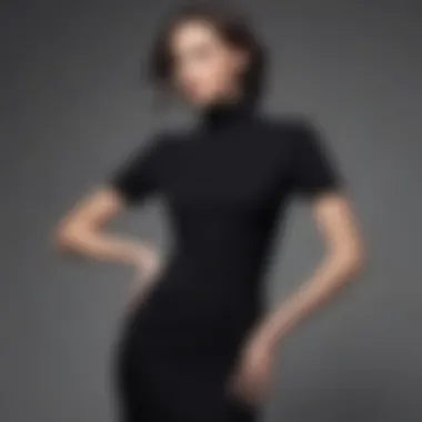 Elegant black fitted dress with a high neckline showcased in a minimalist setting